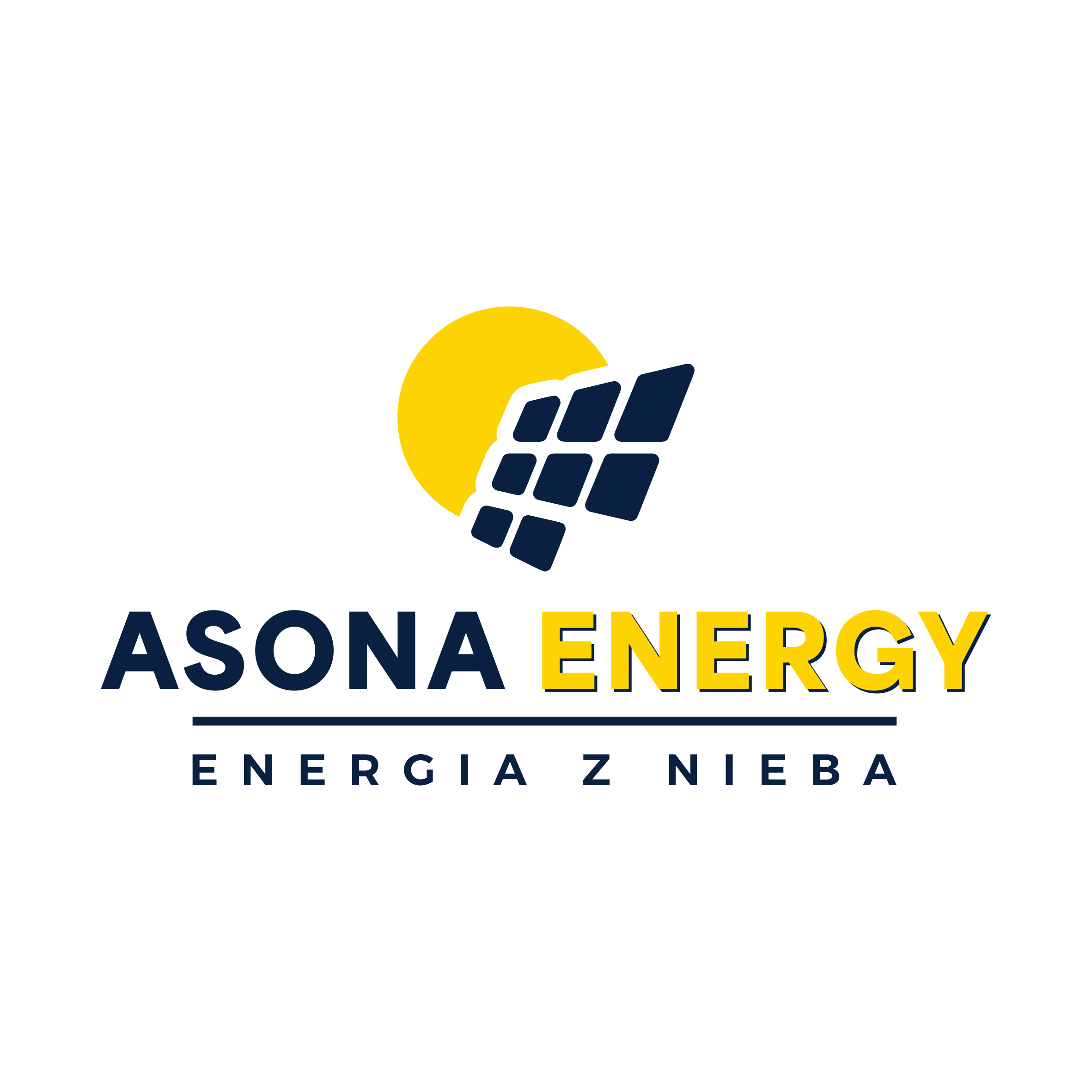 logo ASONA